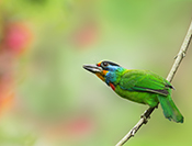 sue hsu's photo